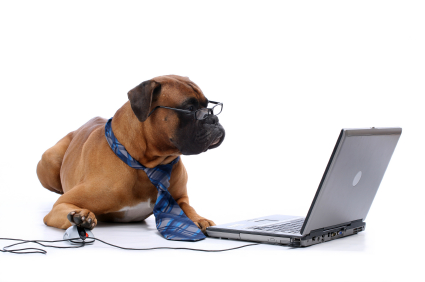 Online Poker Dog